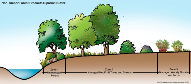 Multi-use Buffer